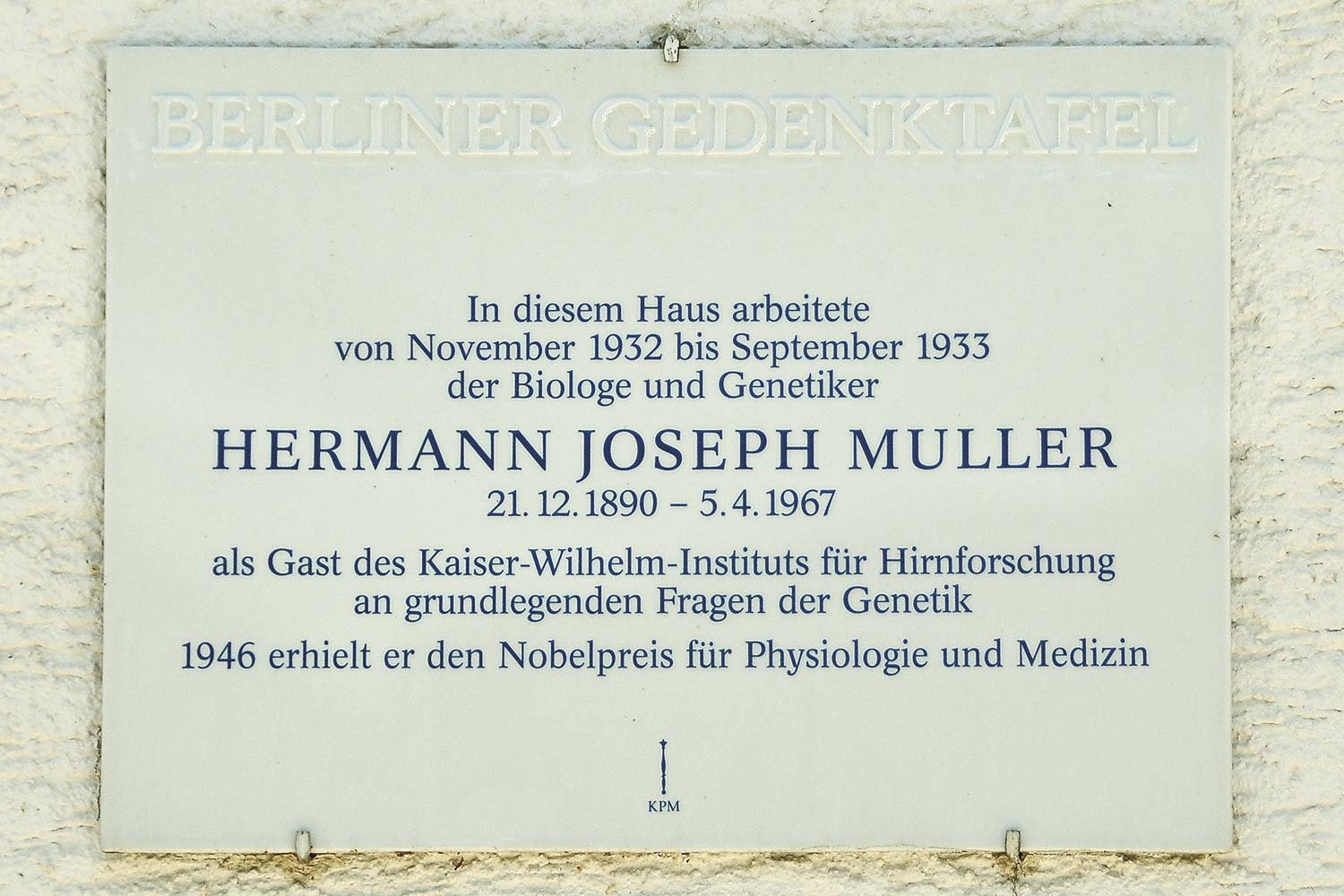 Plakette Muller