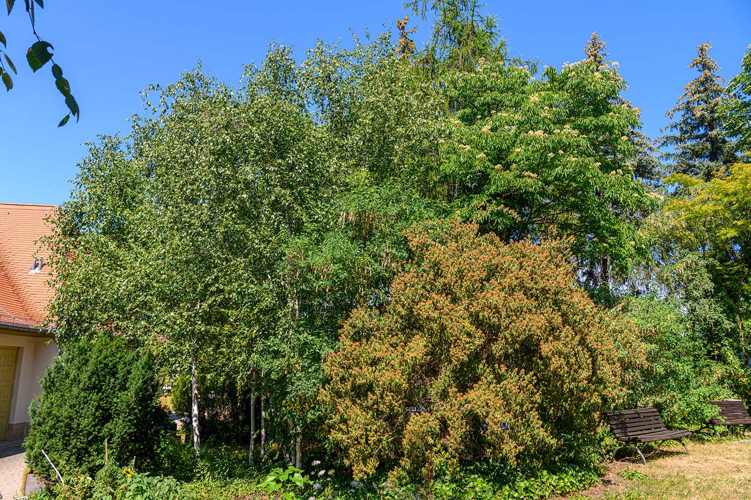 Duftesche