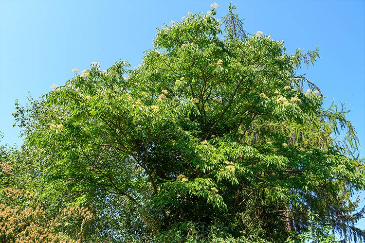 Duftesche 1