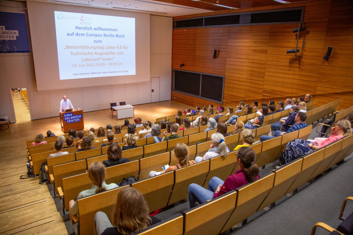 Foto: Patrick Meinhold