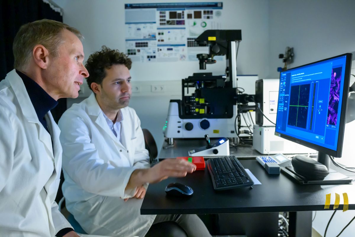 Prof. Haucke in the Lab | Photo & Copyright: David Ausserhofer